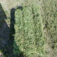 پرس یونجه درج یک و عالی