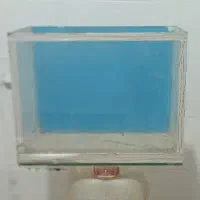آکواریم معاوضه با کبوتر