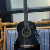 گیتار حرفه ای آریا اکا ۳۰ مشکی