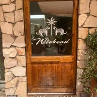 باریستا و سالندار