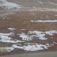 زمین دیم هنام جهان آباد