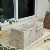 همود داتیس تو کار گلوریا ۶۰ مشکی