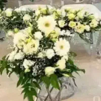 صنـدلی تـالـ اری بیدمجنون