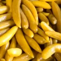 خیار شور نول درجه ۱ امساله