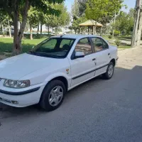 سمند سفید