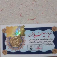 سکه پارسیان