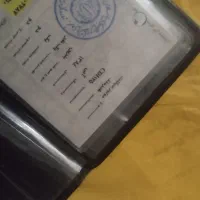 موتور پلاک قدیم 84 سالم به شرط