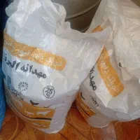 فرو دانه تخمگذار مرغ