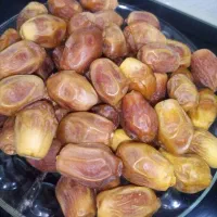 زاهدی درجه 1  (خاییز)