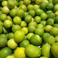 آبلیمو و آبغوره