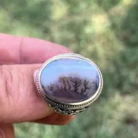 شجرقائنات فدیوم ساواس