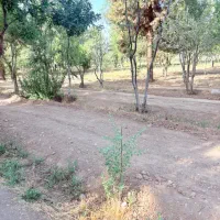 زمین تجاری مسکونی بر بلوار جمهوری۲۸ قصب