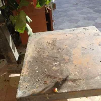 باسکول  ۲ تونی