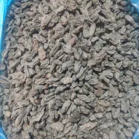 مویز درشت