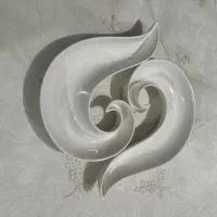 ظروف پذیرایی