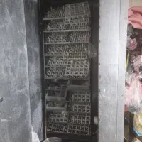 دستگاه جوجه کشی