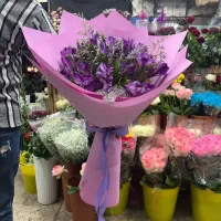 فقط با ۱میلیون و ۲۰۰ و زیر ۱میلیون