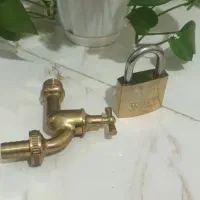 گل پتوس|گل و گیاه طبیعی|قزوین, |دیوار