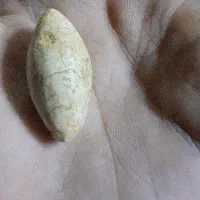 نقره