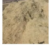 کاه نخود