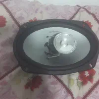 باندکنوود