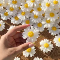 شمع|صنایع دستی و سایر لوازم تزئینی|زاهدان, |دیوار