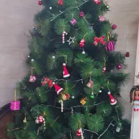 درخت کریسمس تقریباً دومتری