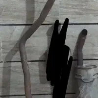 اگزوز پژو