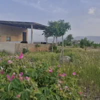 زمین باغی در ابهر