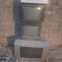 تلوزیون