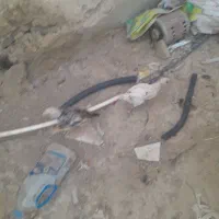 جوجه دوماهه