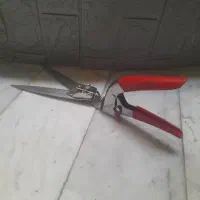 قیچی چمن زن(باغبانی)
