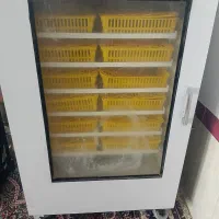 دستگاه جوجه کشی فاخته