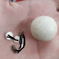 سنگ گبر ومهره