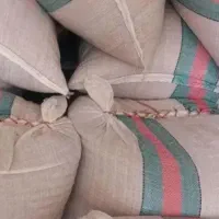 ۱کیسه شالی طارم ۶۵کیلو درمیاد
