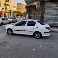 ۲۰۶اس دی دوگانه کارخانه
