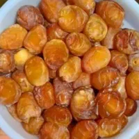 رطب