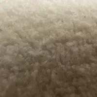 کارگر تعویض روغنی یالاستیک
