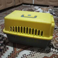 باکس گربه