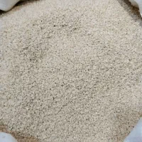 کنجد پاکستانی درجه۱