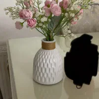 گلدان
