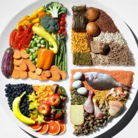 کاهش و افزایش وزن با رژیم غذایی