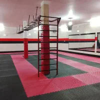 باشگاه ورزشی حامیم