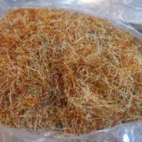 ریشه زعفران