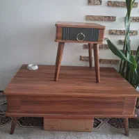 میزجلومبلی باعسلی