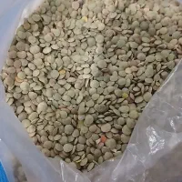 عدس جعفراباد