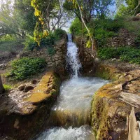 اجاره زمین کشاورزی دشت مناسب زعفران