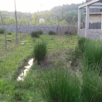 زمین-با-کاربری-مسکونی-تو-دل-طبیعت