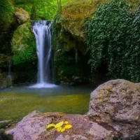 تور گردشگری بانوان خوش انرژی شیرازی