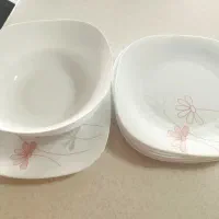 ظروف غذا خوری ارکوپال